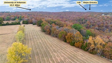 14931 Friendship Church Rd, West Fork, AR 72774 - photo 5