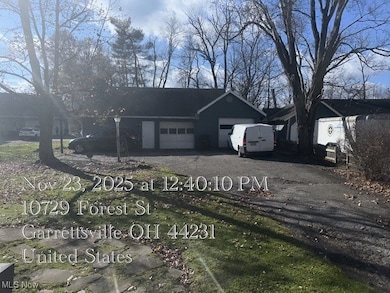 10729 Forest St, Garrettsville, OH 44231 - photo 3