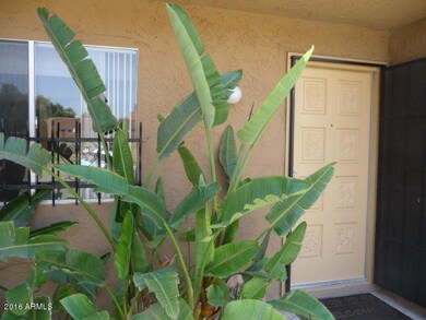 10222 N 8th St unit 119, Phoenix, AZ 85020 - photo 2