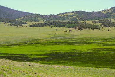 0 State Hwy unit 9 24653908, Guffey, CO 80820 - photo 2