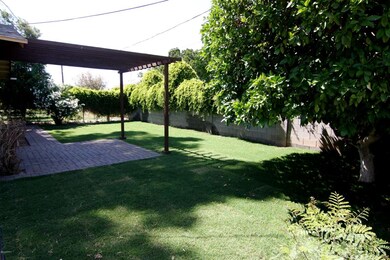 Backyard 2