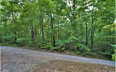 Additional View