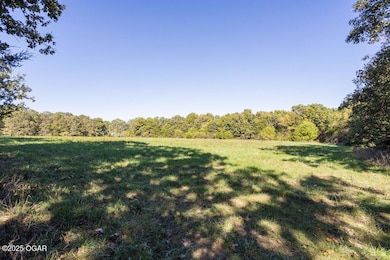 000 Farm Rd 1140 (Tract2), Verona, MO 65769 - photo 3