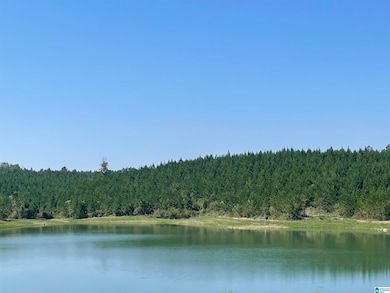 3679 Chelsea Rd, Columbiana, AL 35051 - photo 7