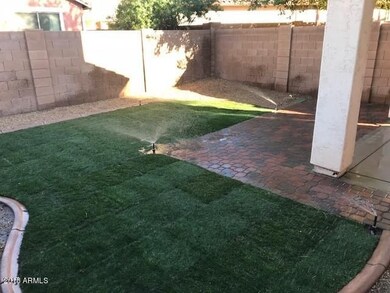 back yard 2