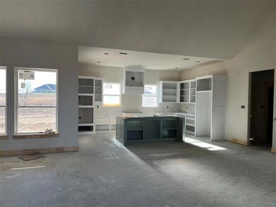 105 Tobiano Trace, Brock, TX 76087 - photo 3