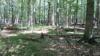 1135 N Mink Rd, Danielsville, PA 18038 - photo 6