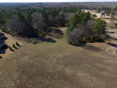 29 Ginners Ln, Hernando, MS 38632 - photo 2
