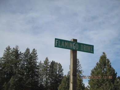 0 Flamingo Dr unit 6, Bonanza, OR 97623 - photo 3