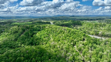 0 Stonehenge Pkwy unit 25-1043, Lewisburg, WV 24901 - photo 4