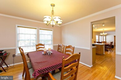 184 Crystal Place, Strasburg, VA 22657 - photo 7