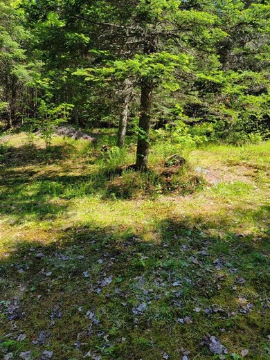 0 Mountain View Ln, Colebrook, NH 03576 - photo 2