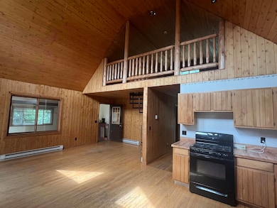 30009 S Springer Rd, Goetzville, MI 49736 - photo 4