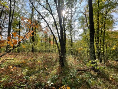 V/L 20A N Woodbridge Dr, Bitely, MI 49309 - photo 7