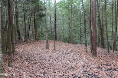 3411 Pickett Park Hwy, Jamestown, TN 38556 - photo 6