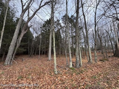 Tbd Park, Lexington, NY 12452 - photo 5