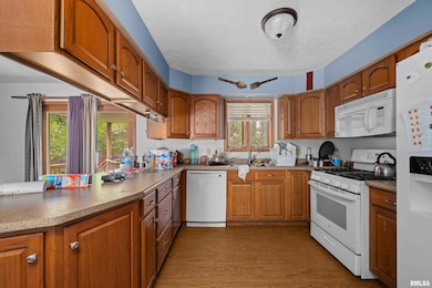 10 NE 1st Ave, Galva, IL 61434 - photo 4