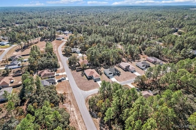 3658 W Lappula Ln, Citrus Springs, FL 34433 - photo 2