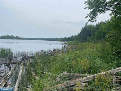 TBD Hwy 1, Tower, MN 55790 - photo 2