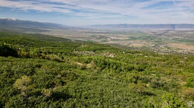 Mountain view featuring a forest