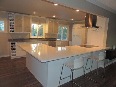 Modern Kitchen