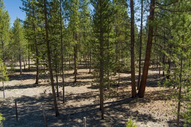 3900 Lot Wagon Trail_ (5)