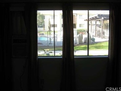 View out of the living room window