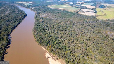 0 Gray's Landing Rd unit 10647341, Uvalda, GA 30473 - photo 4