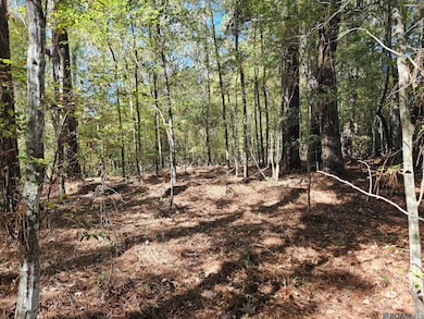 TBD Tunica Trace, Saint Francisville, LA 70775 - photo 4