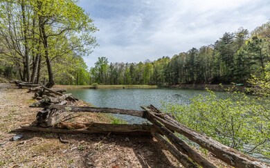 LT 59 Big Creek Mountain, Ellijay, GA 30536 - photo 6