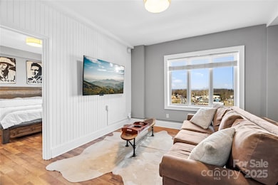 538 N Main St unit 519, 518, 520, Hendersonville, NC 28792 - photo 5