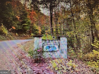 6 Morgan Ridge Ct, Young Harris, GA 30582 - photo 2