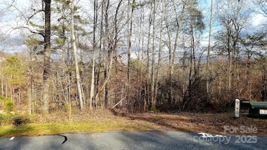 4269 Aaron Ct, Morganton, NC 28655 - photo 3