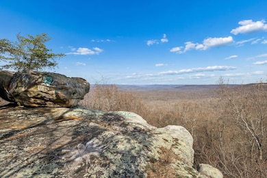 233 Crestview Ln, Sparta, TN 38583 - photo 3