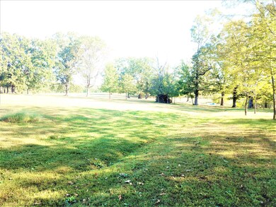 29474 County Road 9000, Dixon, MO 65459 - photo 2