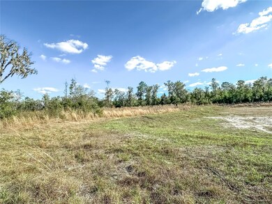 323 SW Blast Ct, Fort White, FL 32038 - photo 6
