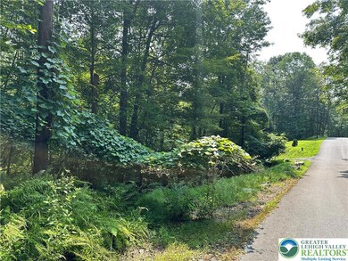 0 St Moritz Ct unit 3F 762484, Henryville, PA 18332 - photo 4