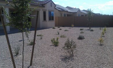 Backyard landscaping