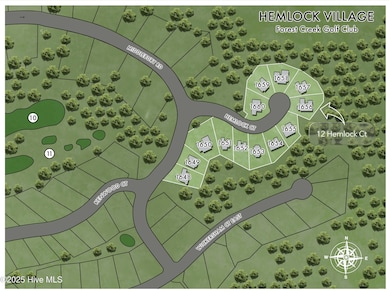 12 Hemlock Ct, Pinehurst, NC 28374 - photo 5