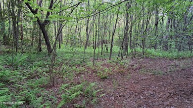 Lot 21 Airport Rd (Pca), Rockwood, TN 37854 - photo 4