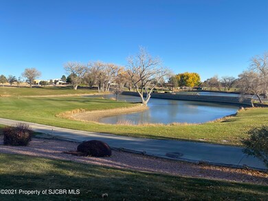 6004 Bayhill Dr, Farmington, NM 87402 - photo 6