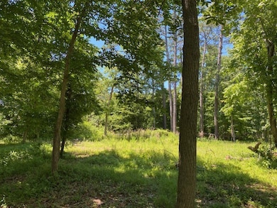 76 Creekside Ln unit 52, Cape Charles, VA 23310 - photo 3