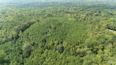 12263 Poole Rd unit 1, Duncanville, AL 35456 - photo 7