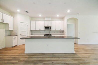 11347 Striped Bass Ct, New Port Richey, FL 34654 - photo 5