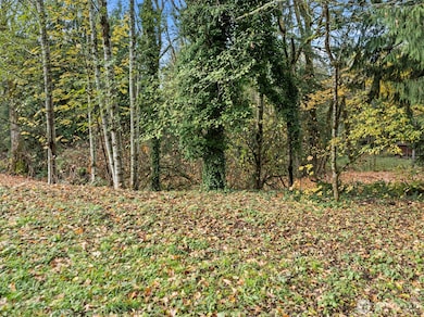 1147 SE Salmonberry Rd, Port Orchard, WA 98366 - photo 5