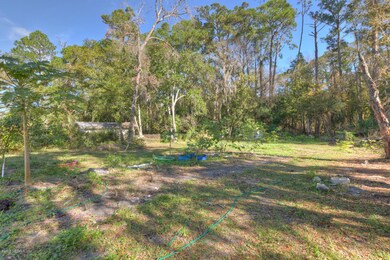 909 Nightingale Rd, Jacksonville, FL 32216 - photo 4