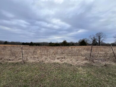 5539 Sillivan Dr, Fulton, MO 65251 - photo 6