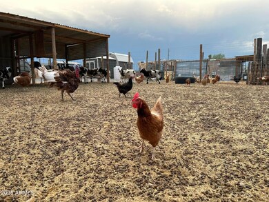 3135 N Ajo Gila Bend Hwy, Ajo, AZ 85321 - photo 4