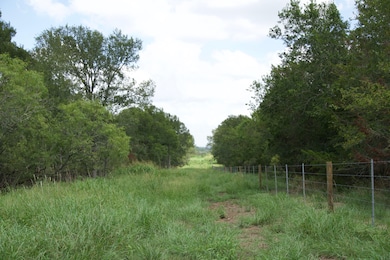 0 St Delight Rd unit 23357568, Paige, TX 78659 - photo 6