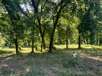 View of local wilderness